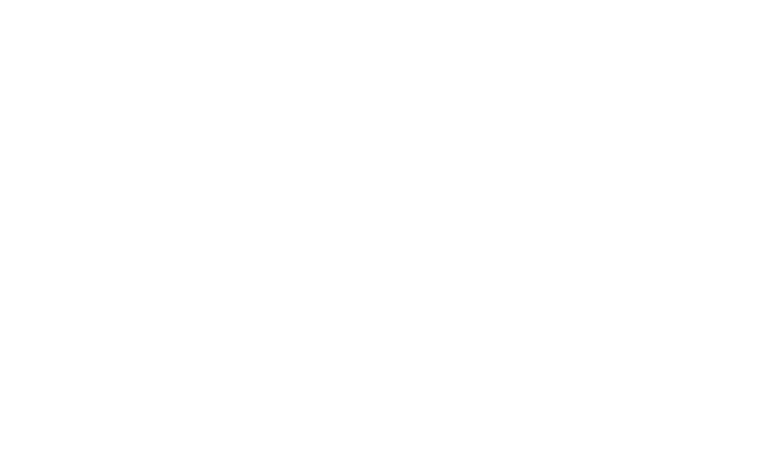 norse-customs.com